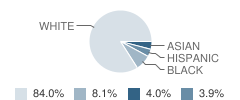 Westminster Elementary School Student Race Distribution