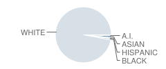 Northern Middle School Student Race Distribution