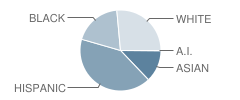 Rock View Elementary School Student Race Distribution