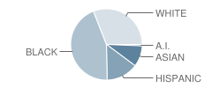 Yorktown Elementary School Student Race Distribution