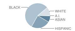 Martin Luther King Jr. Middle School Student Race Distribution