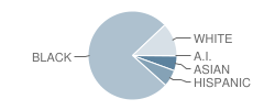 Robert Goddard Montessori School Student Race Distribution