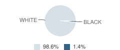 Van Buren Elementary School Student Race Distribution