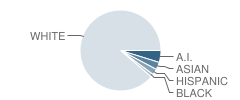 Orono High School Student Race Distribution