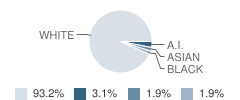 Fourteenth Street School Student Race Distribution