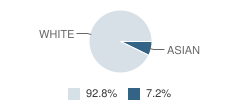 Brooklin School Student Race Distribution