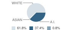 Shead High School Student Race Distribution