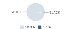 Moscow Elementary School Student Race Distribution