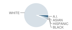 Presque Isle High School Student Race Distribution