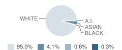 Eliot Elementary School Student Race Distribution