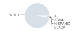 Medomak Valley High School Student Race Distribution