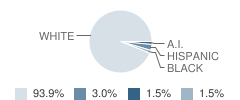 Exeter Consolidated School Student Race Distribution