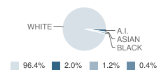 Carrabec High School Student Race Distribution