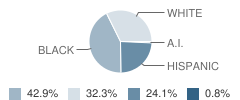 Omni Adult and Alternative Education School Student Race Distribution