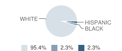 Galien Alternative Education School Student Race Distribution