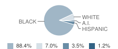 Ace Academy (Sda) - Lincoln Center Student Race Distribution