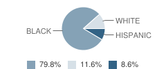 International Academy of Saginaw Student Race Distribution