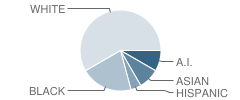 Center for Economicology School Student Race Distribution