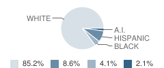 Mason County Central Upper Elementary School Student Race Distribution