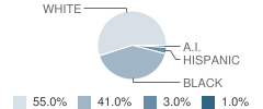 Tinkham Alternative Education School Student Race Distribution