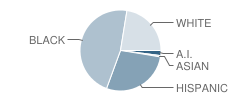 Mid-Michigan Leadership Academy Student Race Distribution