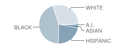 New Branches School Student Race Distribution