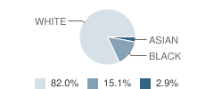 Macomb Academy Student Race Distribution