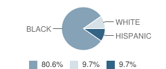 New City Academy Student Race Distribution