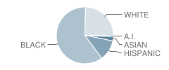 Ridge Park Charter Academy Student Race Distribution