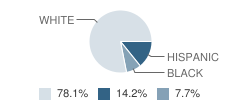 Allen Park Community School Student Race Distribution