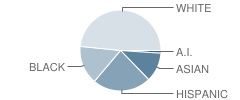 Pittsfield School Student Race Distribution