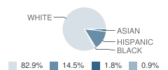 Lincoln Elementary School Student Race Distribution