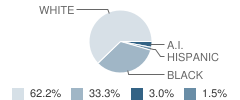 Comstock Alternative High School / Pre-Kindergarten Student Race Distribution