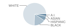 Justus Gage Elementary School Student Race Distribution