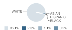 Wealthy School Student Race Distribution