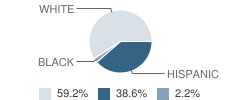 Fennville Middle School Student Race Distribution