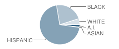 Burton Middle School Student Race Distribution