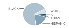 Brookside School Student Race Distribution