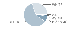 Kent Hills School Student Race Distribution