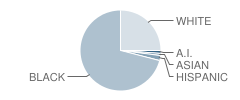 Riverside Middle School Student Race Distribution