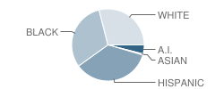 Harrison Park Elementary School Student Race Distribution