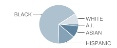 Sherwood Global Studies Academy Student Race Distribution