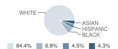 South Elementary School Student Race Distribution