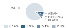 Grand View Elementary School Student Race Distribution