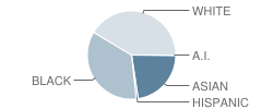 Kosciuszko School Student Race Distribution