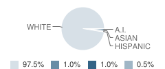 Hancock Middle School Student Race Distribution
