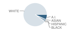 Harbor Springs Middle School Student Race Distribution