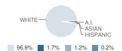 Hopkins Elementary School Student Race Distribution
