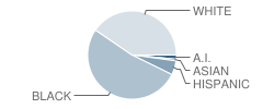 Tomlinson School Student Race Distribution