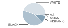 Greenwood Elementary School Student Race Distribution